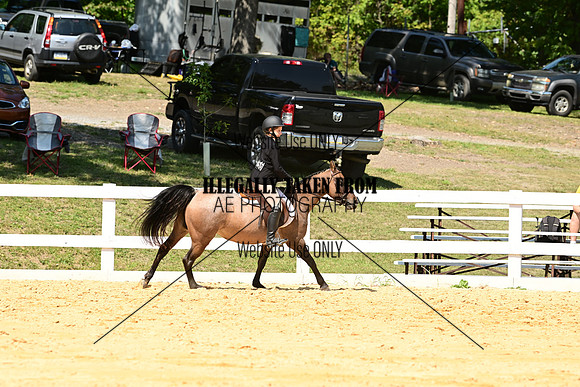 AJB_0777