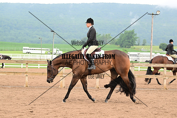 AJB_6199