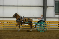Ladies Cart_Belgians-15