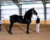 HCR_4345