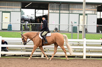 AJB_6233