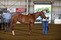 25. Amateur Aged Mares