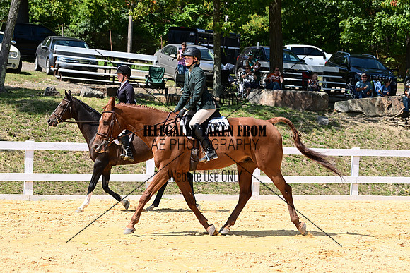 AJB_0891