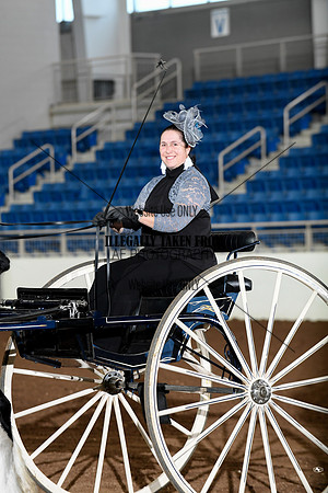 shires_5861