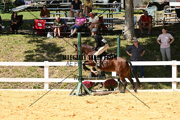 AJB_0768