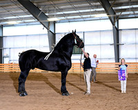 HCR_4347