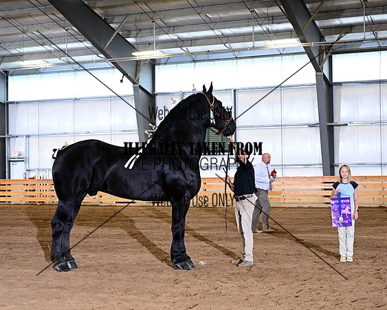 HCR_4347