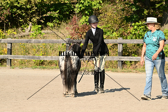 AJB_0351