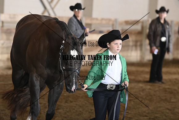 _BRY9134