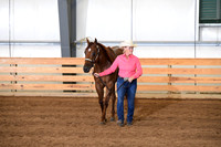 74. Amateur Performance Geldings