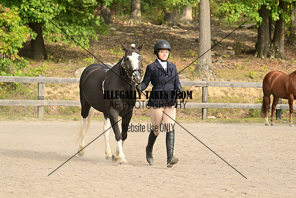 AJB_0174