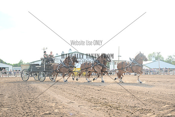AJB_0485