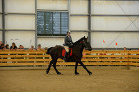Open Riding English_wtc-8