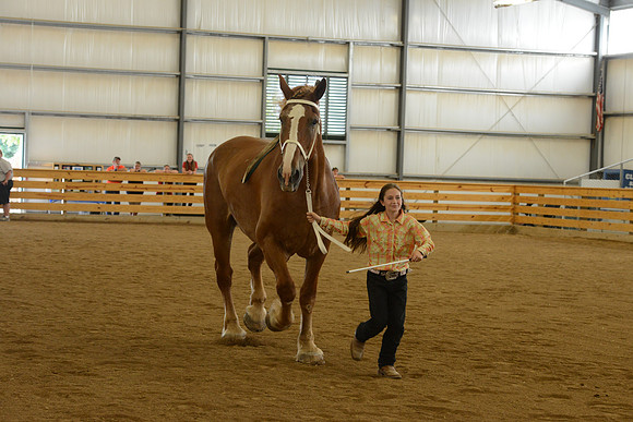 Jr. Youth Showmanship-26