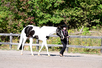 AJB_2072