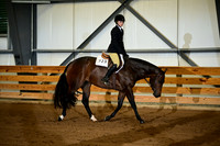 Level 1 Youth Hunter Under Saddle