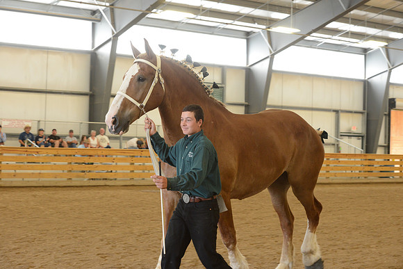 Sr. Youth Showmanship-22