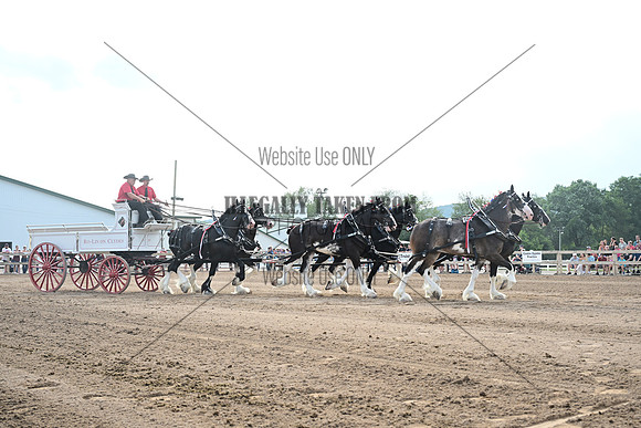 AJB_0443