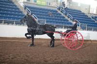 Percheron Men's Cart