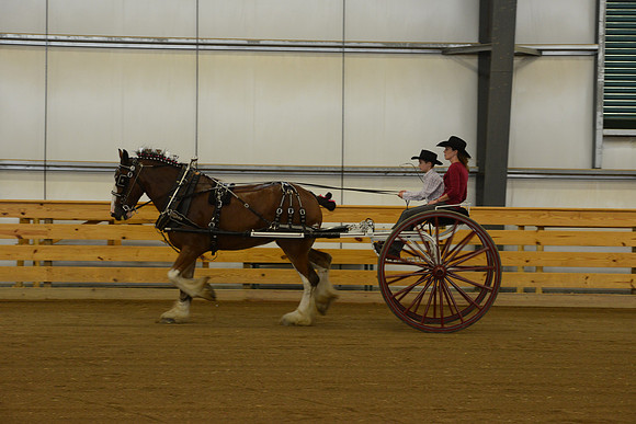 Jr. Youth Cart-11