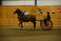 Ladies Cart_Belgians-12