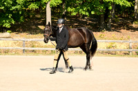 AJB_0419
