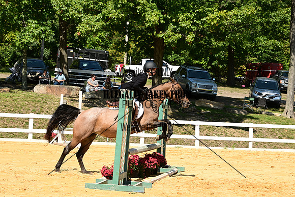AJB_0644