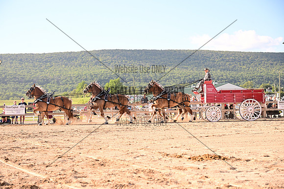 AJB_8756