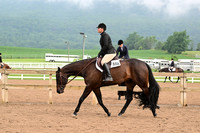 AJB_6252