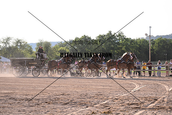 AJB_6436