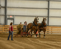 Draft Horse Feed Scurry Race