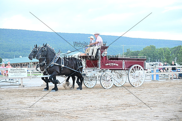 AJB_0865