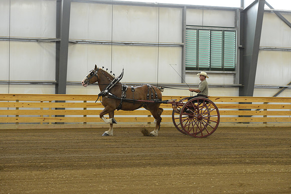 Thursday_cartclasses -5