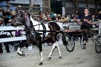 AJB_0964