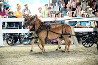AJB_0381