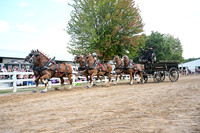 AJB_0582