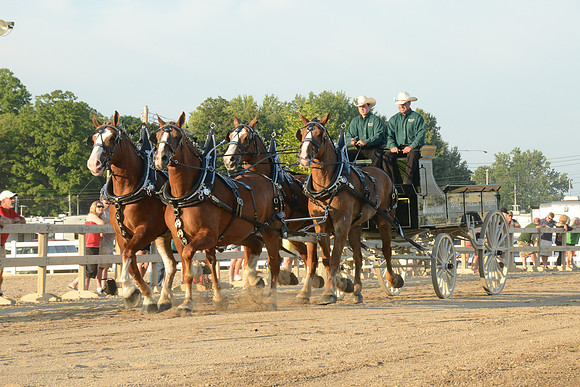 Four Horse Hitch_Amateur_youth-5