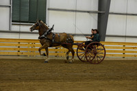 Ladies Cart_Belgians-13