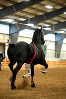 AJB_6174