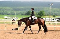 AJB_6548
