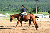AB2_0098