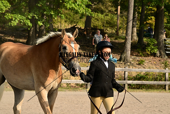 AJB_0198
