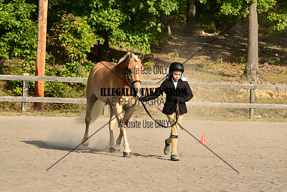 AJB_0197