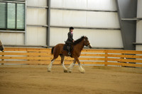 Open Riding English_wtc-3