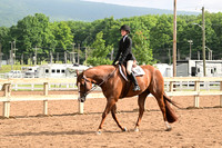 AJB_6552
