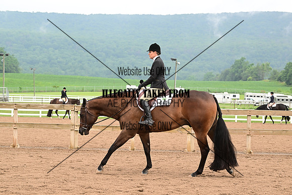 AJB_6208