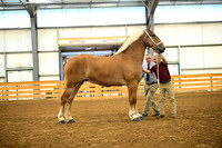 AJB_5942