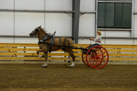 Ladies Cart_Belgians-14