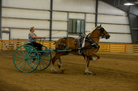 Ladies Cart-Belgians