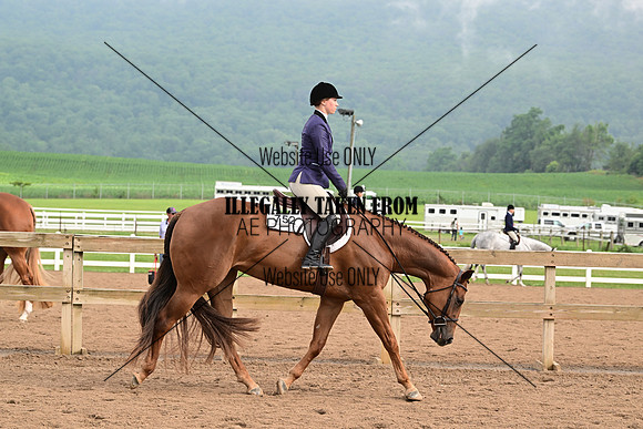AJB_6228